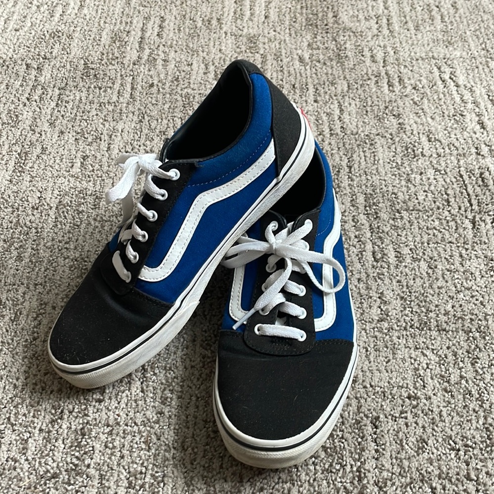 Vans Skate Shoes